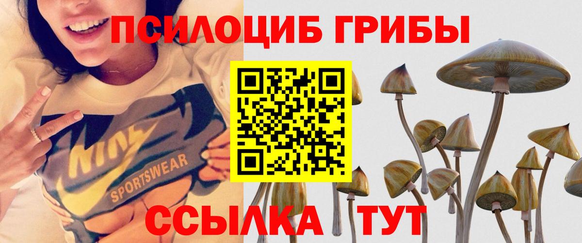 Псилоцибиновые грибы MAGIC MUSHROOMS  как найти закладки  Воскресенск  Вход с VPN 